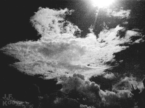 不死鳥の雲