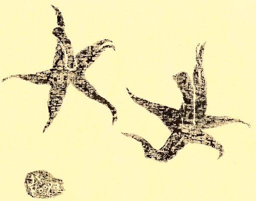 イラスト『プチトマトのヘタ』by J.F.Kooya